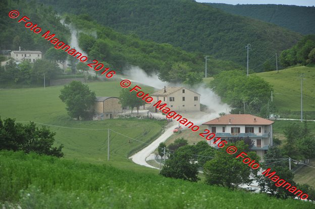 DSC_7131.JPG